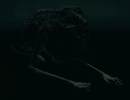 ER Black Dumpling Albinauric