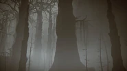 Abyssal Woods