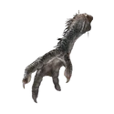 Four-Toed Fowl Foot Found by hunting birds.