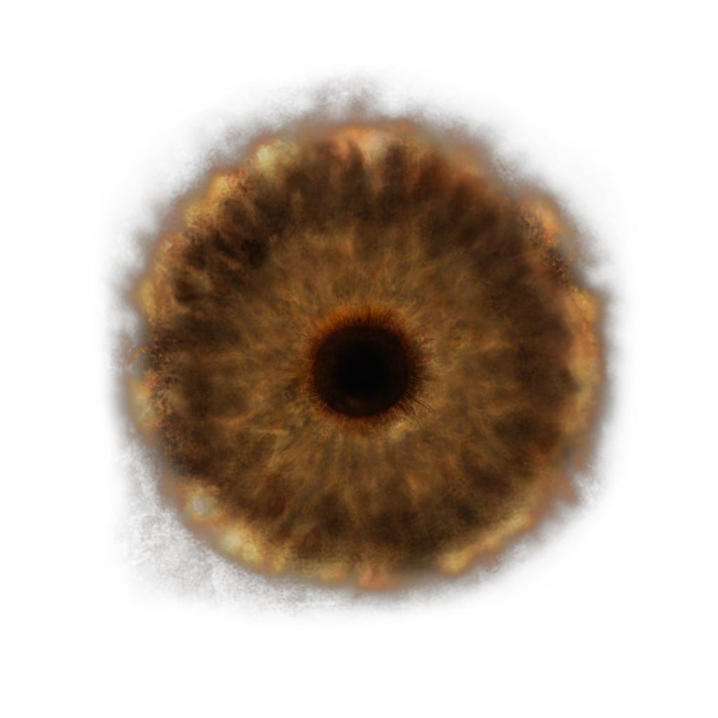 Lord&rsquo;s Rune | Elden Ring Wiki | Fandom