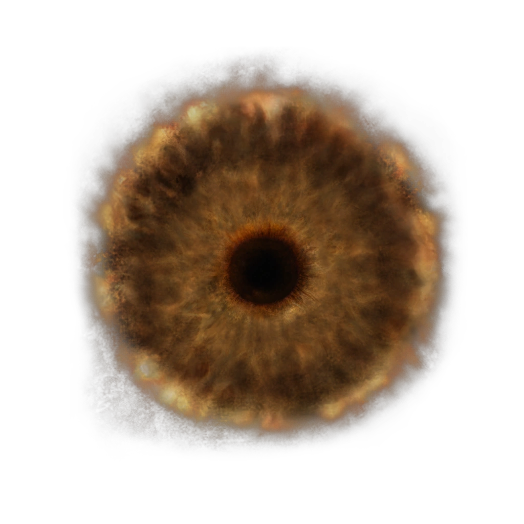 Lord's Rune Elden Ring Wiki Fandom