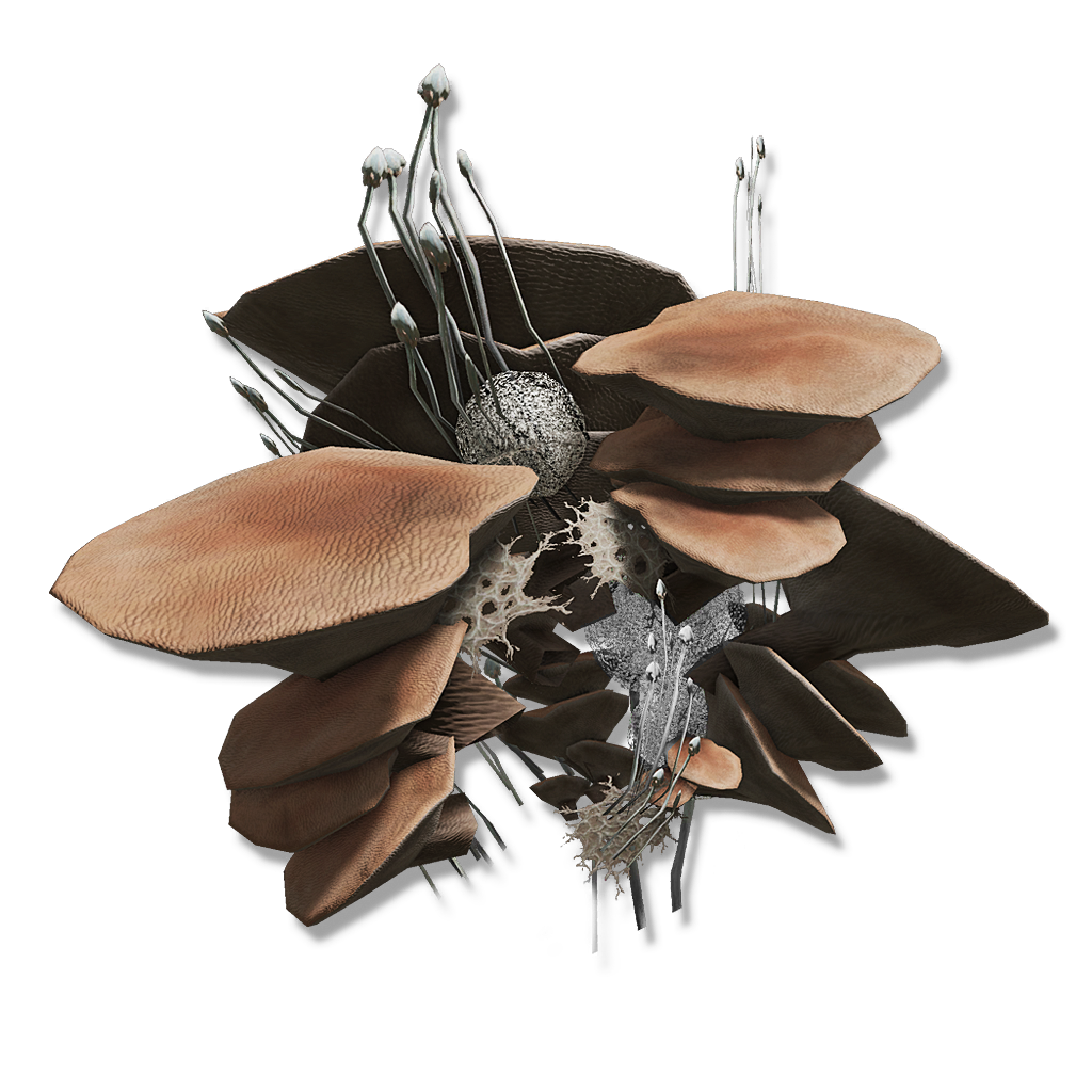 Mushroom Head Elden Ring Wiki Fandom