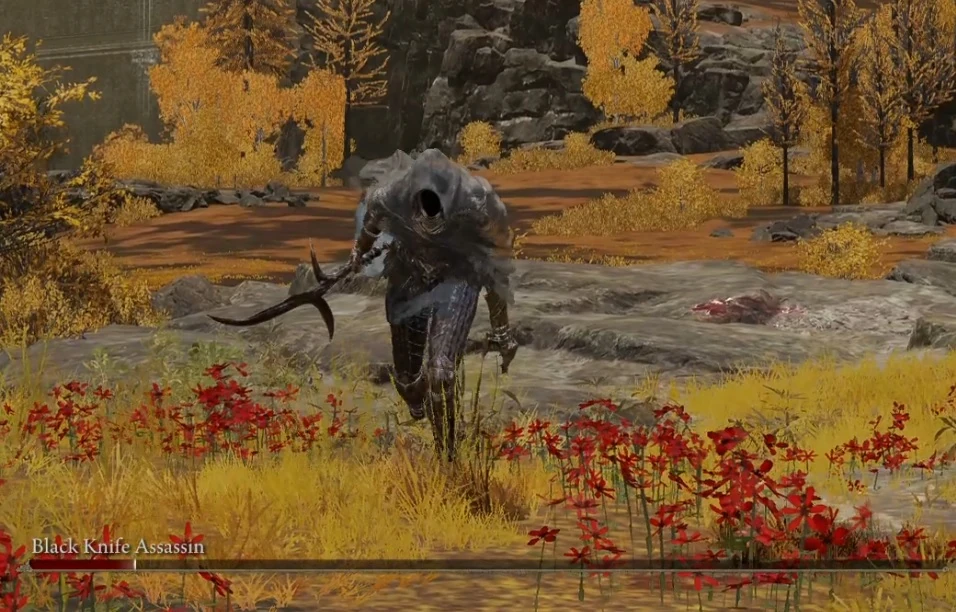 Black Knife Assassin Elden Ring Wiki Fandom