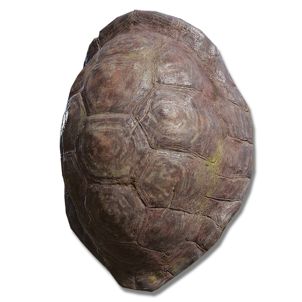 Great Turtle Shell, Elden Ring Wiki