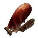 Land Octopus Ovary Found by hunting land octopuses.