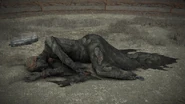 Ranni's original body