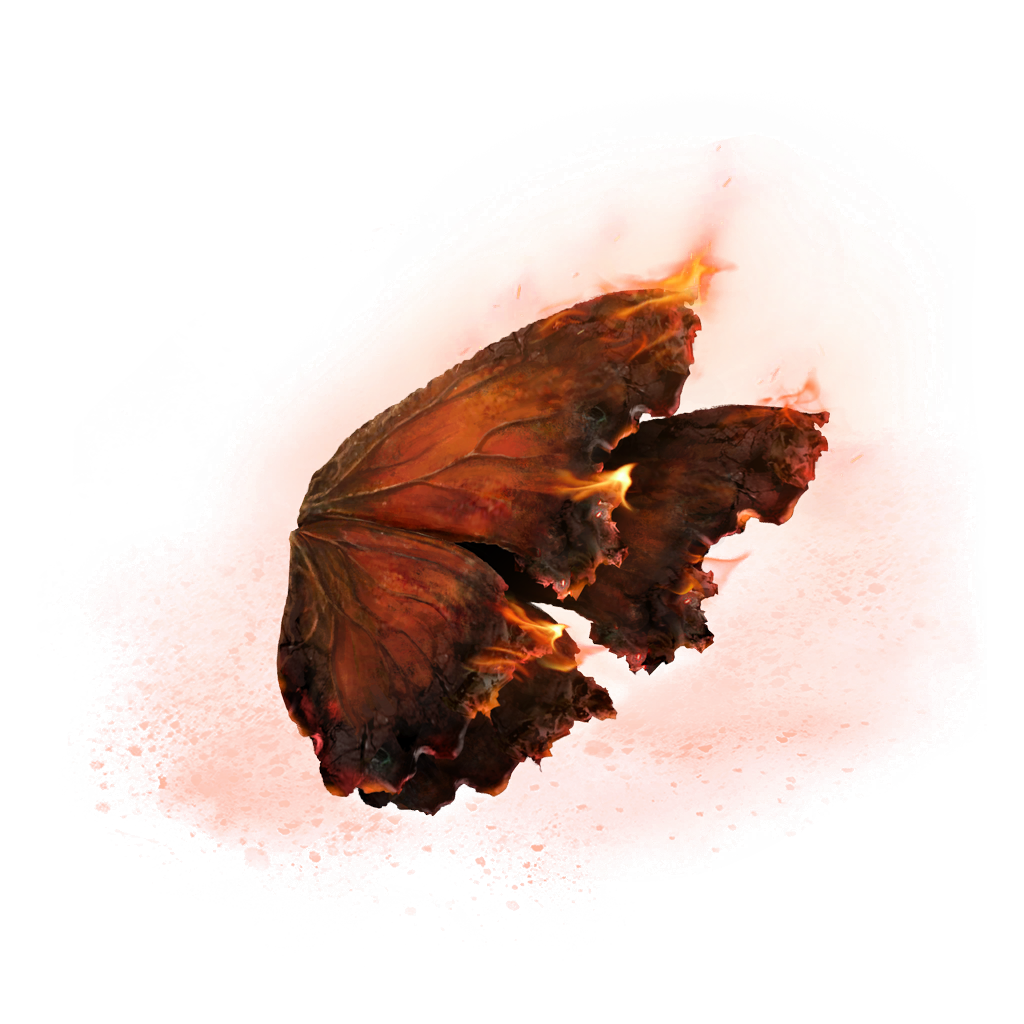 butterfly queen eternal lands locations butterfly queen eternal lands locations