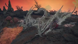 ER Decaying Ekzykes