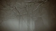 Abyssal Woods