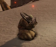 Scribe Corhyn at Leyndell, Ashen Capital