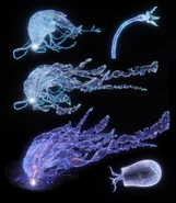 Maris, Fathom of Night render