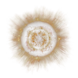 ER Icon Key Item 3116