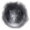 MENU Knowledge 00367.png (948 KB) Giant Rat