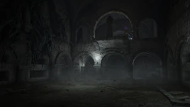 ER Dungeon Tombsward Catacombs