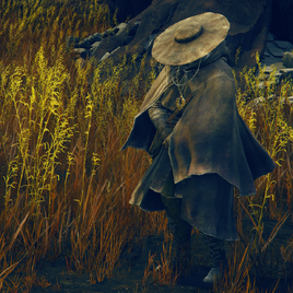 ER NPC Dane