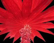 The Beast of Salvation