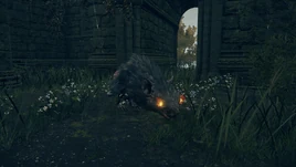 ER Frenzied Giant Rat