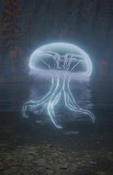 Spirit Jellyfish