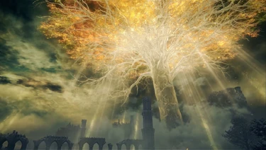 L'Albero Madre diffonde la residua luce della grazia sulle devastate terre dell'Interregno, dopo la Disgregazione.