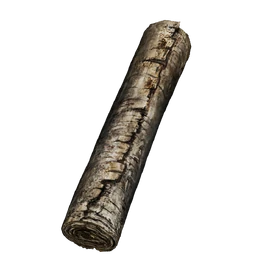 ER Icon Key Item Secret Rite Scroll