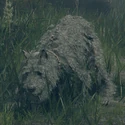Noble's Dog