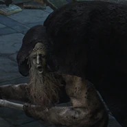 Pidia, Carian Servant