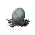 Slumbering Egg Found by hunting owls.