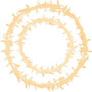 The words of the Fingers are written in light