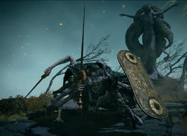 ER Grafted Scion Boss