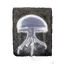 ER Icon Ash Spirit Jellyfish Ashes
