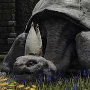 Miriel, Pastor of Vows