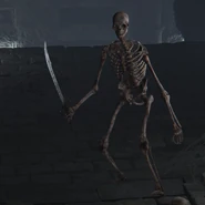 ER Enemy Catacomb Skeleton w Curved Sword.png (675 KB) Animated skeletons commonly found in catacombs. Upon death, their remains will emit a blueish glow, and after a few seconds they will reanimate. Striking their remains while they are glowing will ensure that they remain dead.