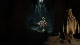 ER Perfumer's Grotto