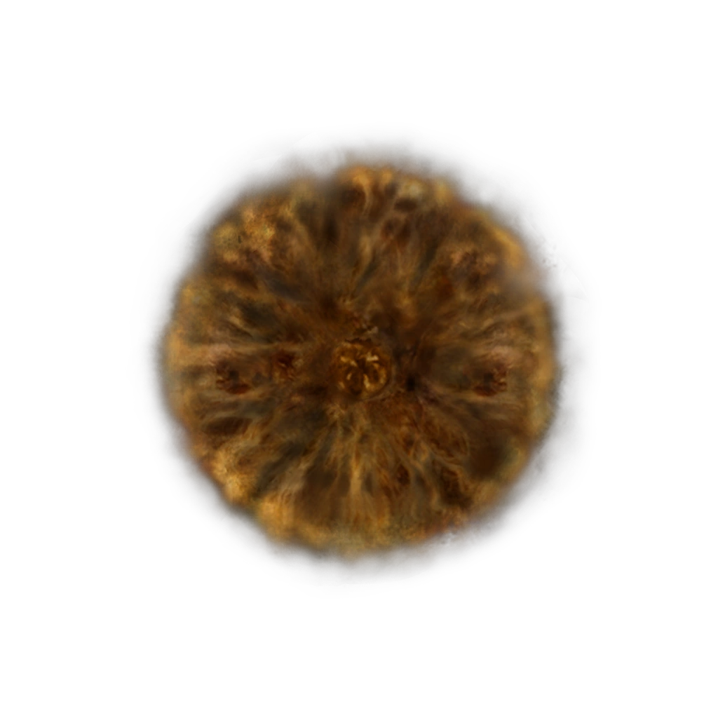 Numen's Rune | Elden Ring Wiki | Fandom