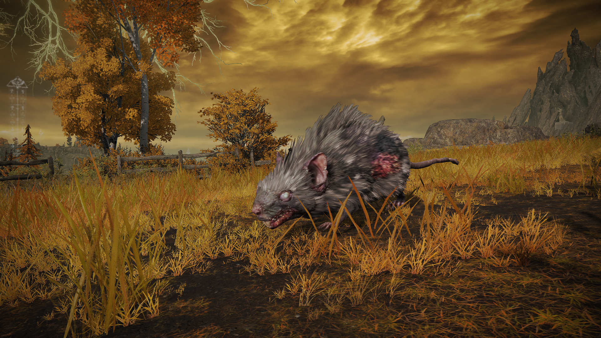 Giant Rat  Elden Ring Wiki