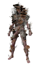 Грибной комплект