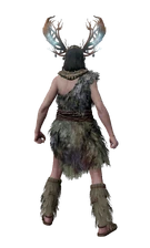 Комплект шамана