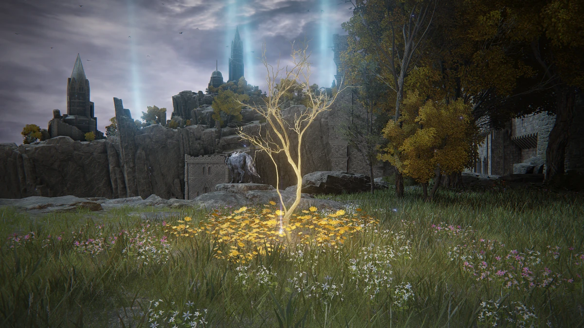 Золотое семечко | Elden Ring вики | Fandom