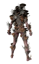 Грибной комплект