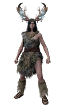 Комплект шамана