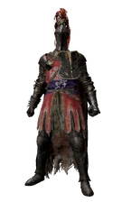 Комплект рыцаря Радана