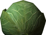 Cabbage vendor