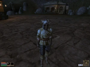 Talon Skier | The Elder Scrolls Sandbox | Fandom