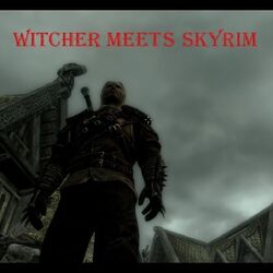 Witcher Meets Skyrim