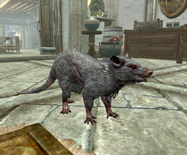 Biter