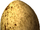 Uovo di falco