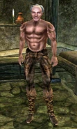 Caius Cosades in Morrowind.