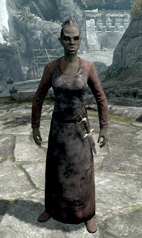 skyrim follower glitch fix skyrim follower glitch fix