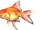 Goldfish