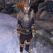 Ranger Imperiale in tenuta da battaglia in The Elder Scrolls IV: Oblivion